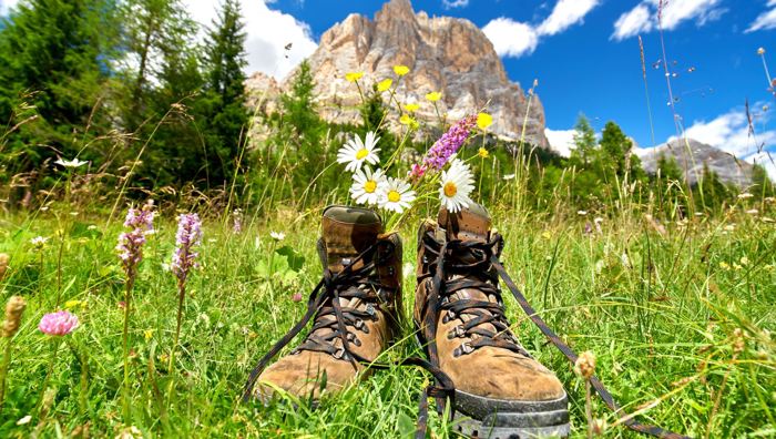 Der Juni in Südtirol