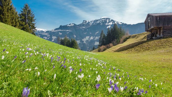 Der Juni in Tirol